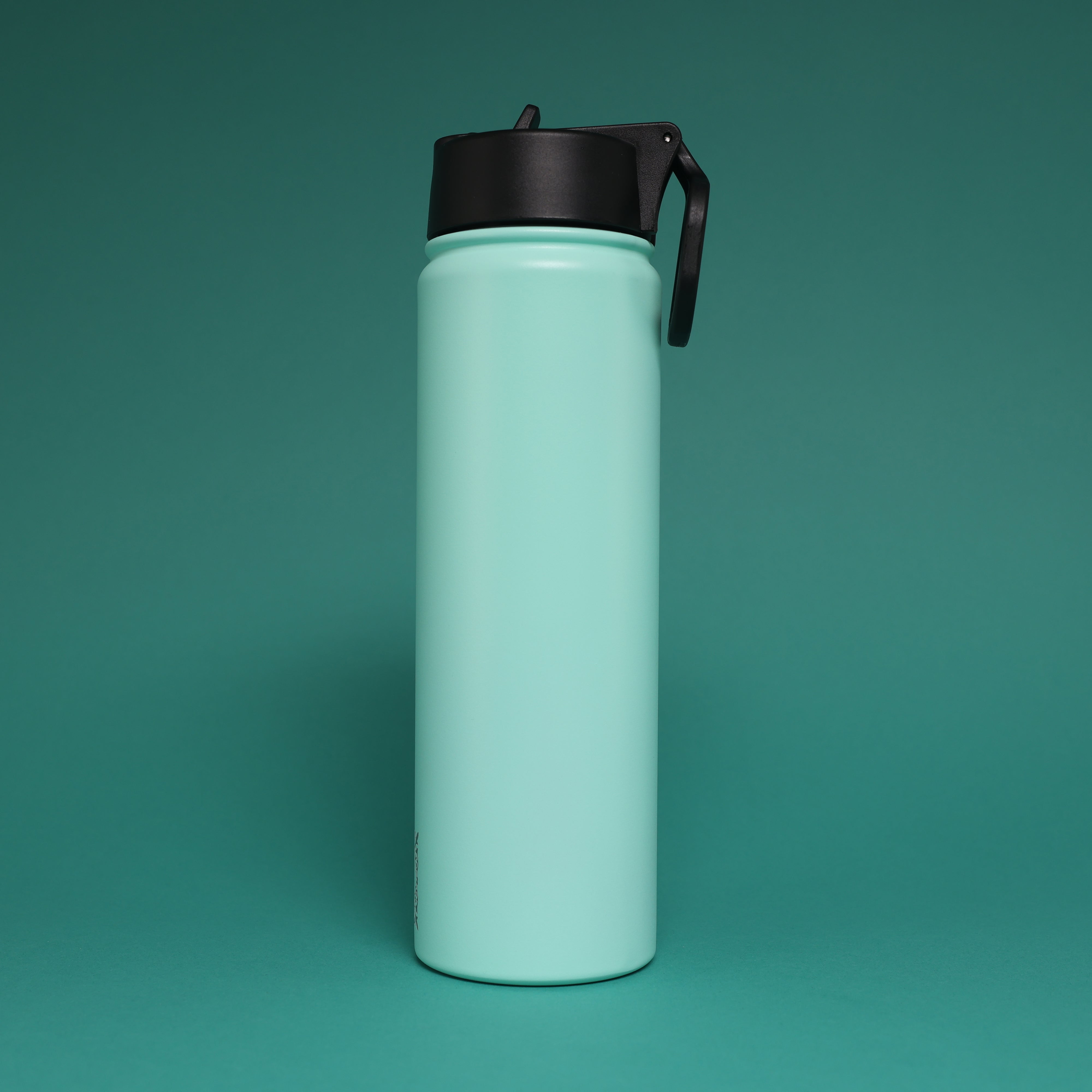 Versai Aqua Stainless Steel Straw Water Bottle (500ml / 650ml / 1L)